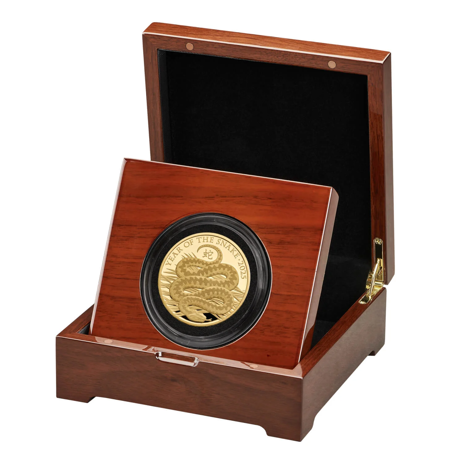 Lunar Year of the Snake 2025 UK 5oz Gold Proof Coin Limited Edition 128